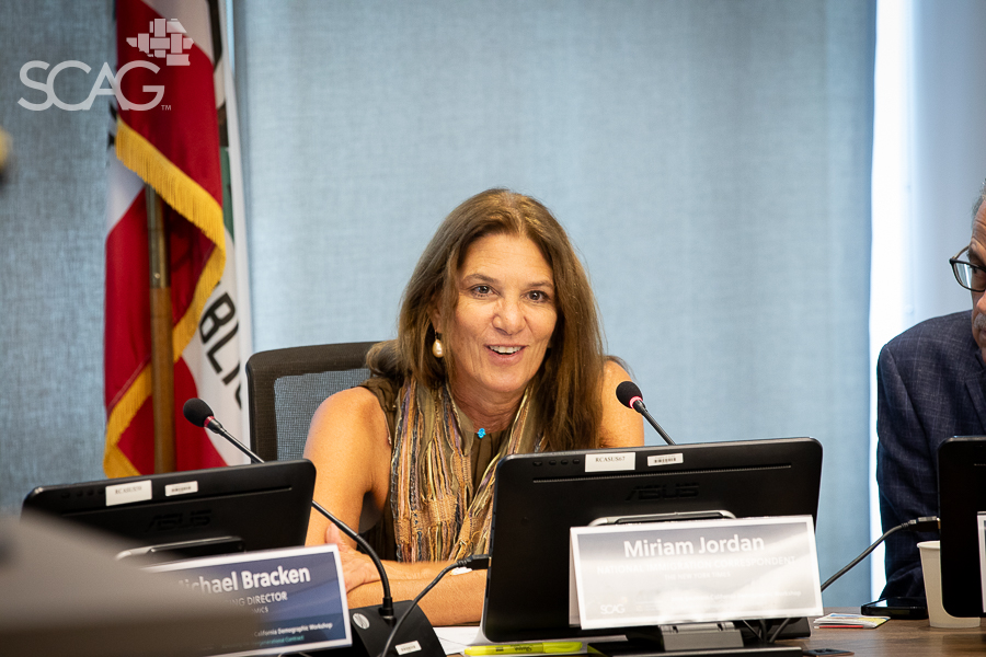 Woman speaking at a conference table, flag in background.