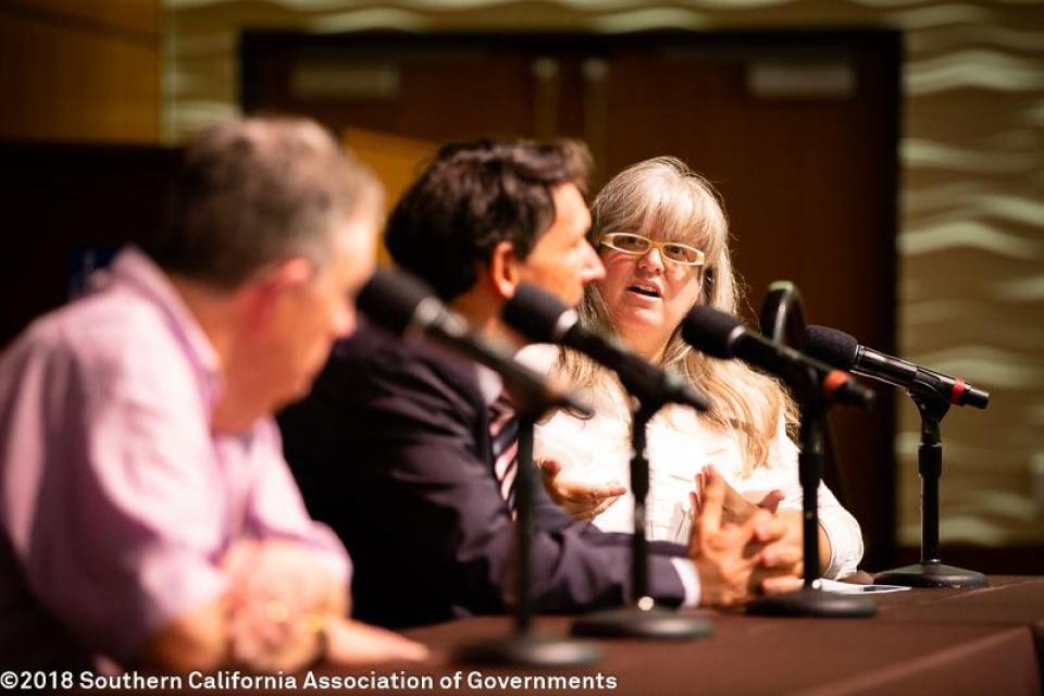 29th Annual Demographic Workshop