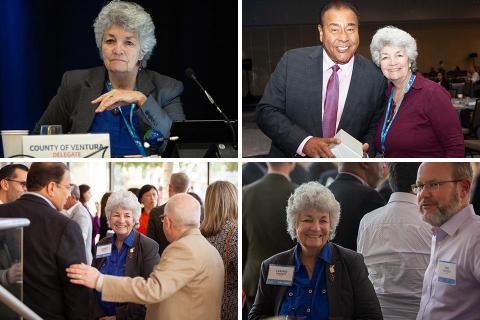 Regional Council First Vice President 